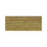 DMC 3032- Medium Mocha Brown