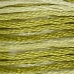DMC 94 - Variegated Khaki Green