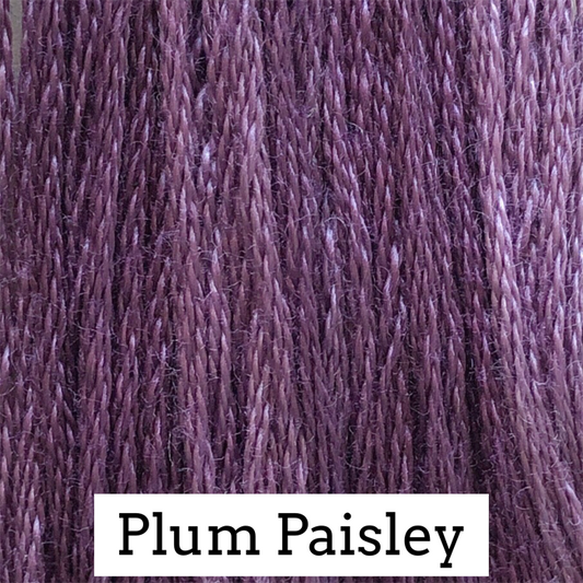 Plum Paisley  Classic Colorworks