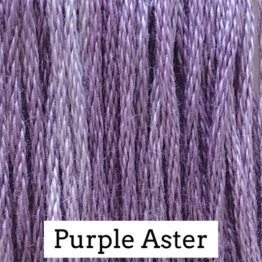 Purple Aster Classic Colorworks
