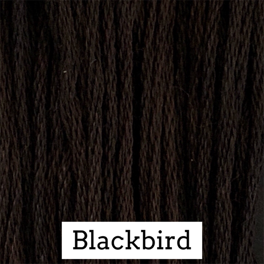 Blackbird Classic Colorworks