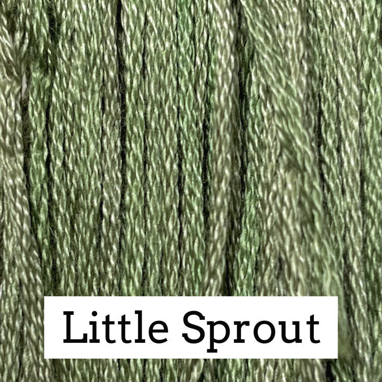 Little Sprout Classic Colorworks