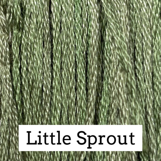 Little Sprout Classic Colorworks