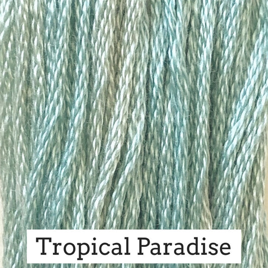 Tropical Paradise Classic Colorworks