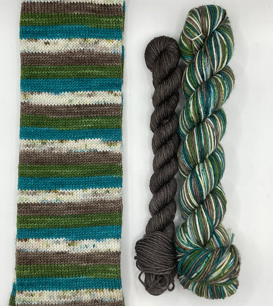 Birch Fingering Self Striping Sock Set