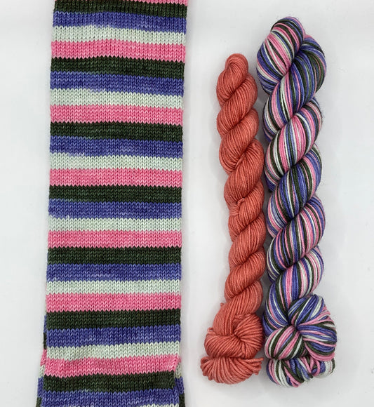Plantrovert Fingering Self Striping Sock Set