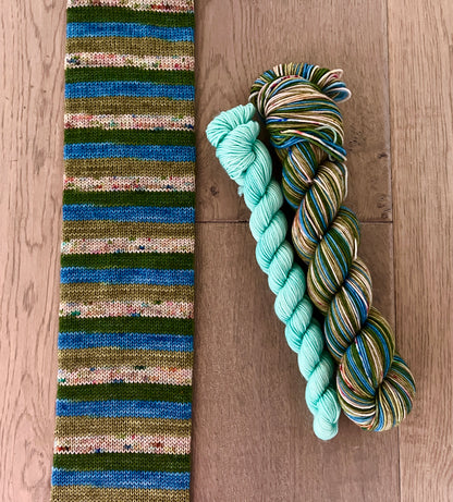 Waterton Fingering Self Striping Sock Set