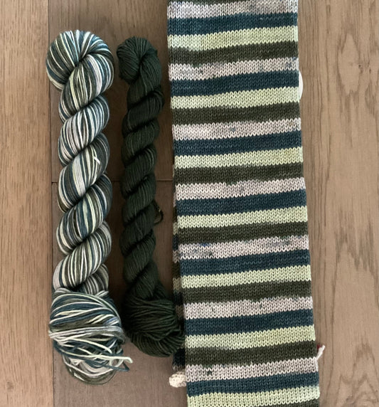 Book Loft Self Striping Sock Set