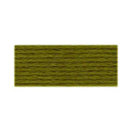 DMC 580-Dark Moss Green